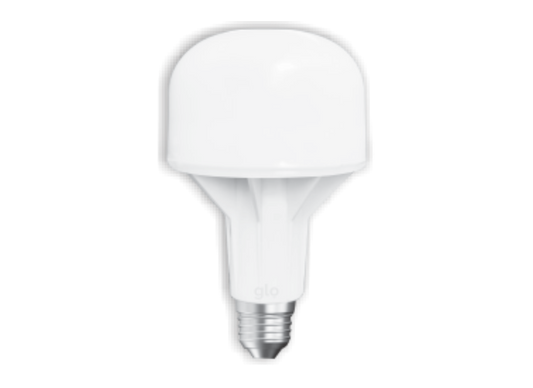 Glo Bulb 12W T-Executive Shape Energy Efficient - Glo Electric